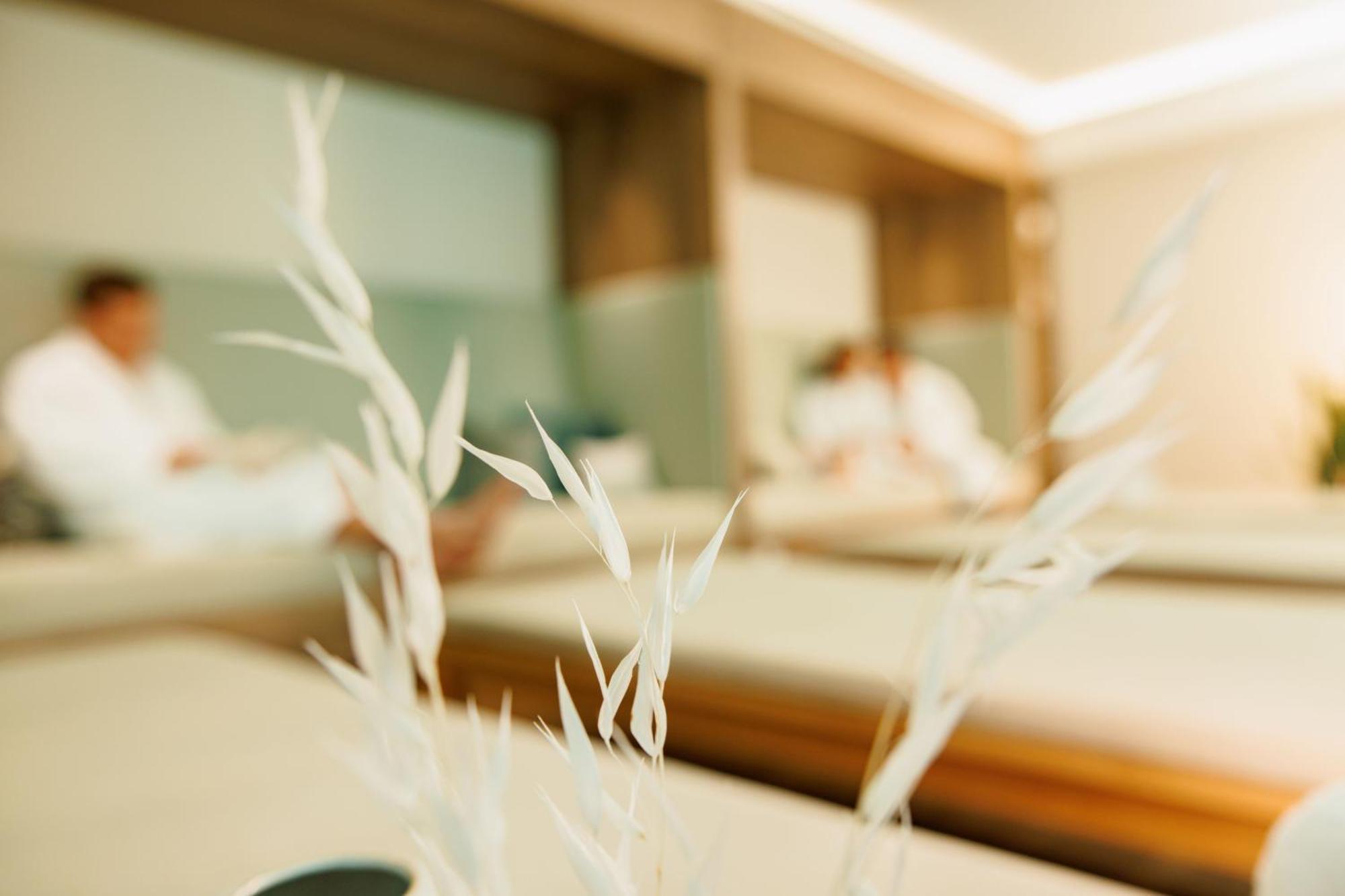 Wellnesshotel Sanct Bernhard باد ديتسنباخ المظهر الخارجي الصورة